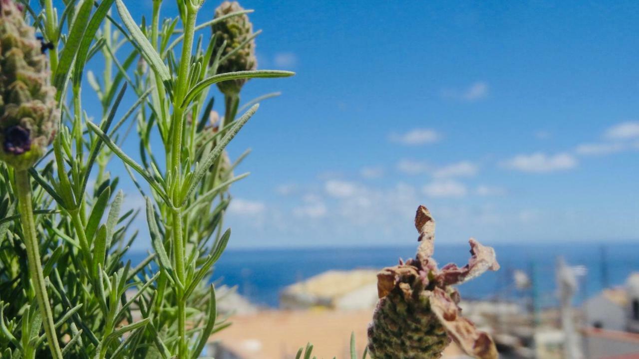 Home Holiday Sicily Isola delle Femmine Ngoại thất bức ảnh